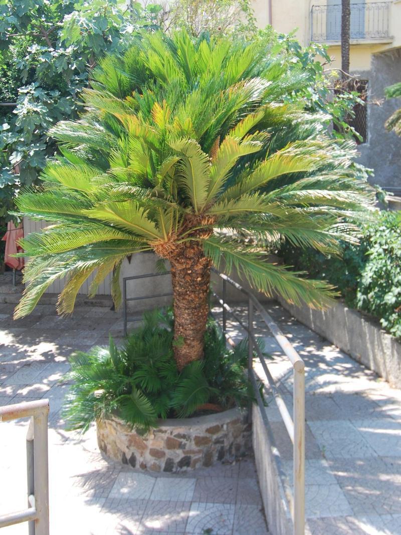 Hotel San Giuseppe - Cityhotel Catanzaro Dış mekan fotoğraf